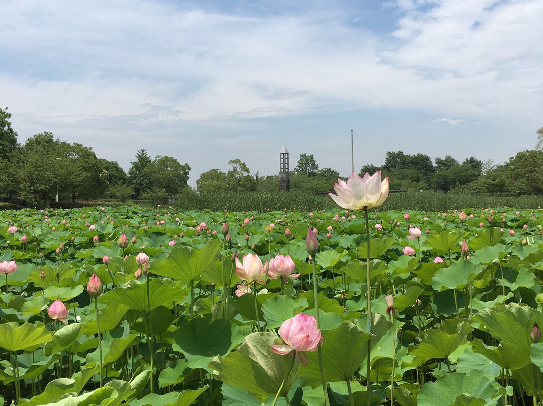 Heiseinomori Park-川岛町必去景点