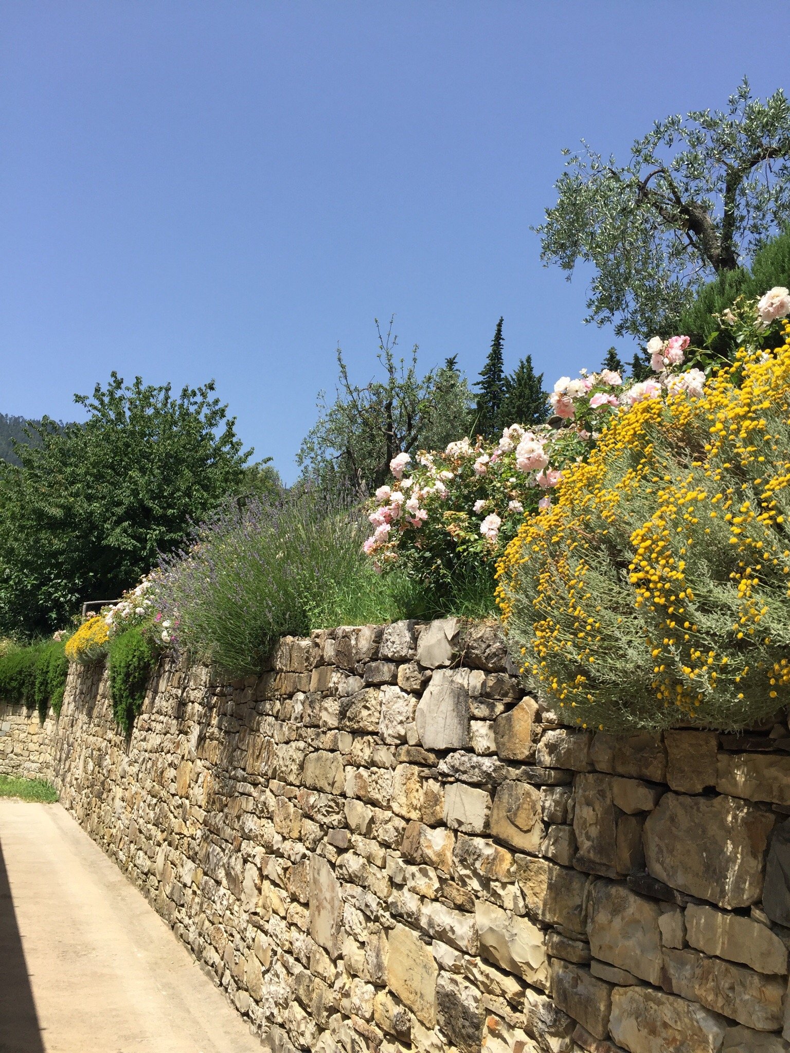 Agriturismo Cercina Vecchia II-官方