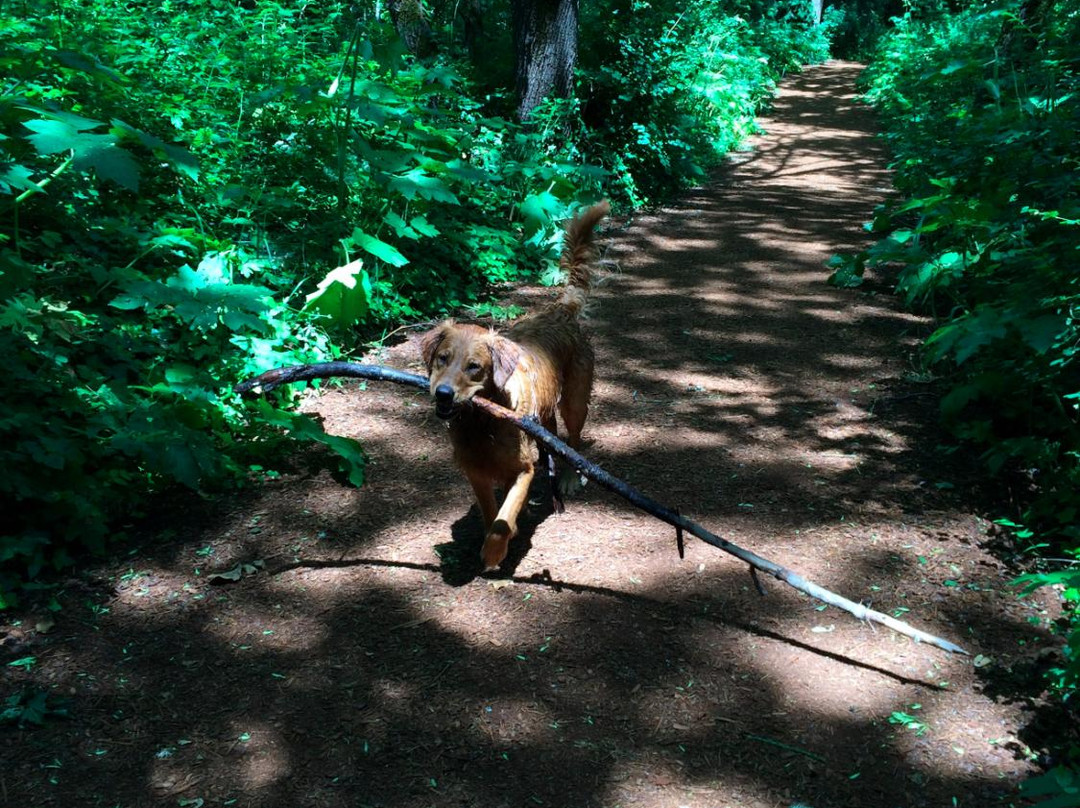 Alton Baker Park-尤金必去景点
