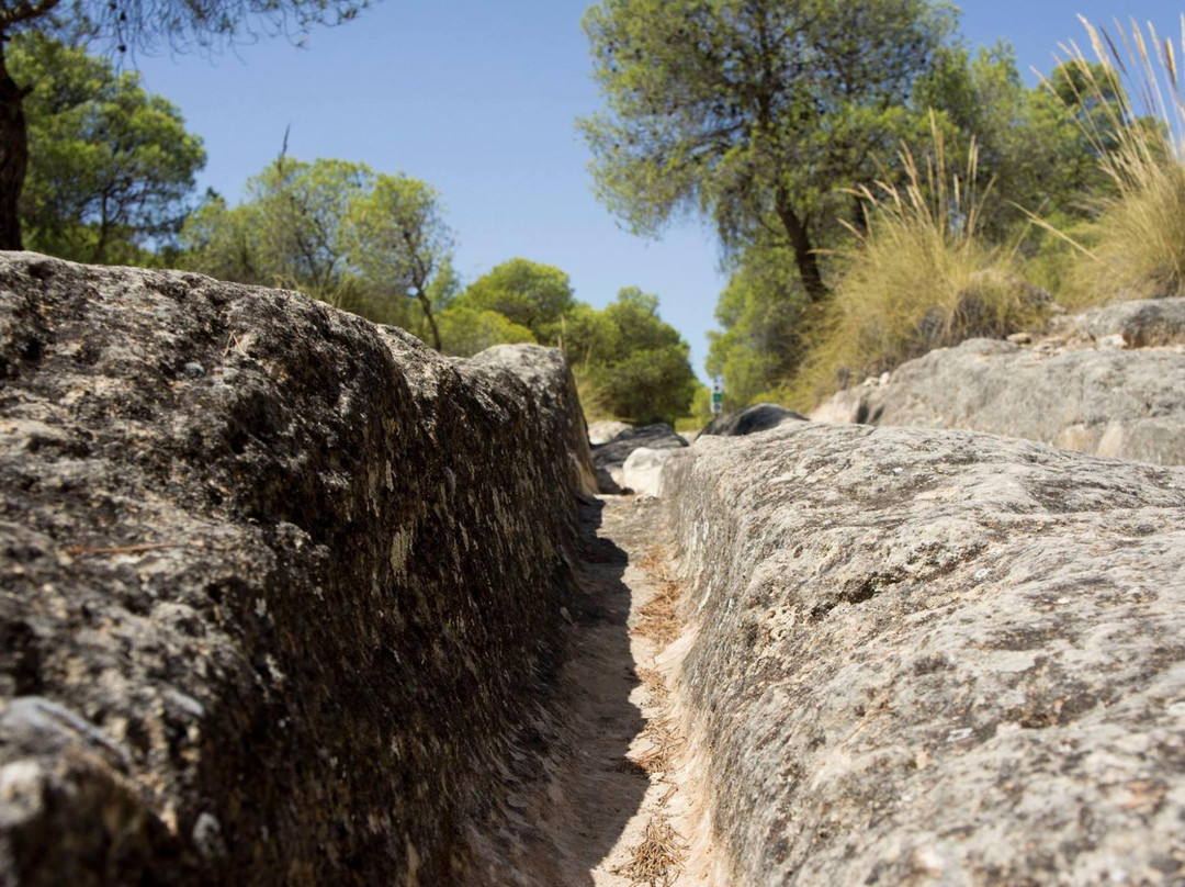 Ruta de la pedrera-Jumilla必去景点