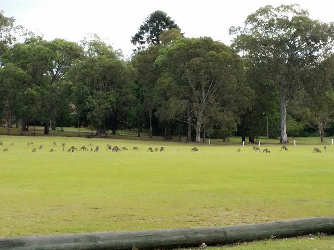 Morisset Picnic Area景点图片