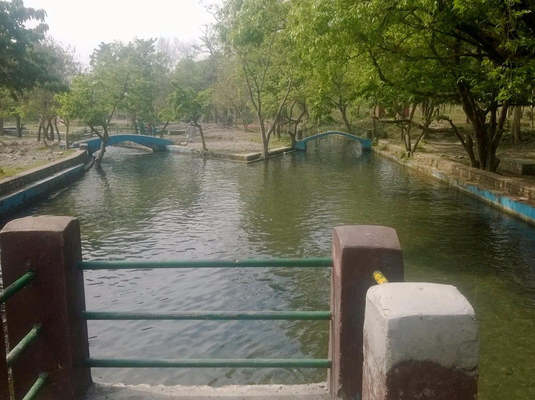 Lacchiwalla Nature Park景点图片