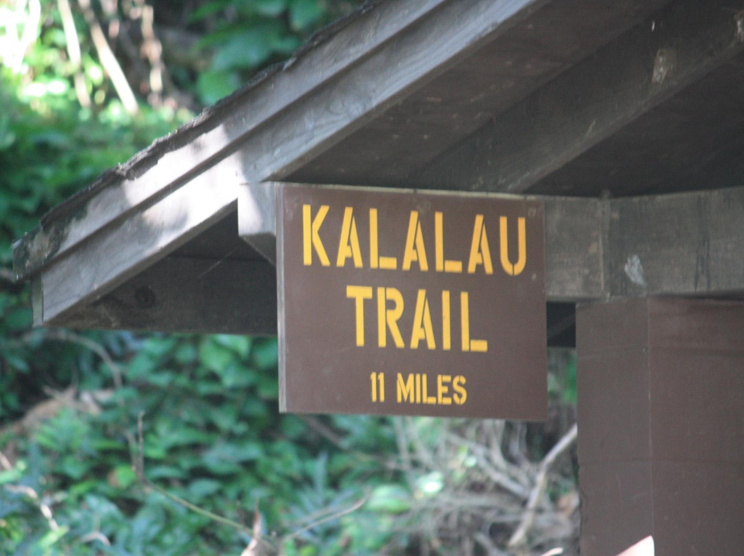 Hanakoa Falls-哈纳雷伊必去景点