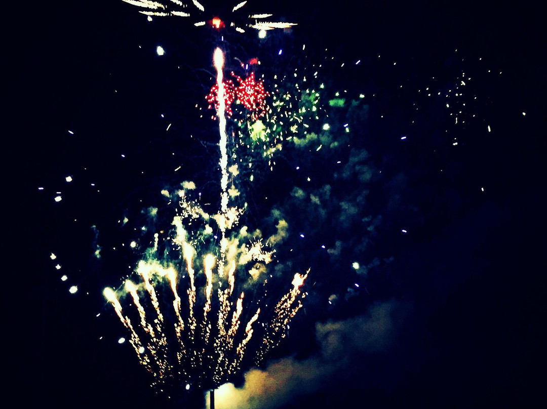 Arthur W. Perdue Stadium (Delmarva Shorebirds)-索尔兹伯里必去景点