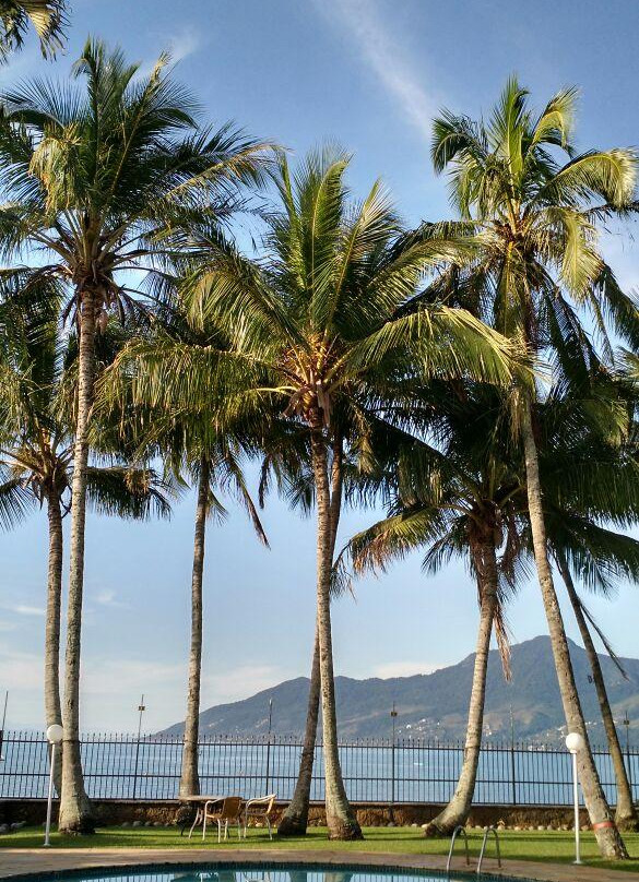 Casa dos Golfinhos主图