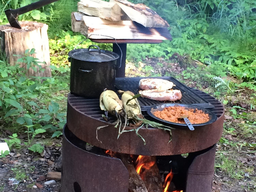 Monkman Provincial Park-Tumbler Ridge必去景点