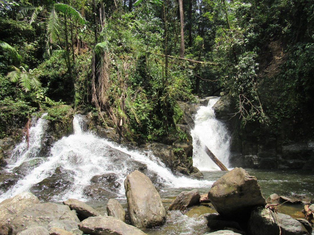 Garden Of Eden Valley Walk-姆鲁国家公园必去景点