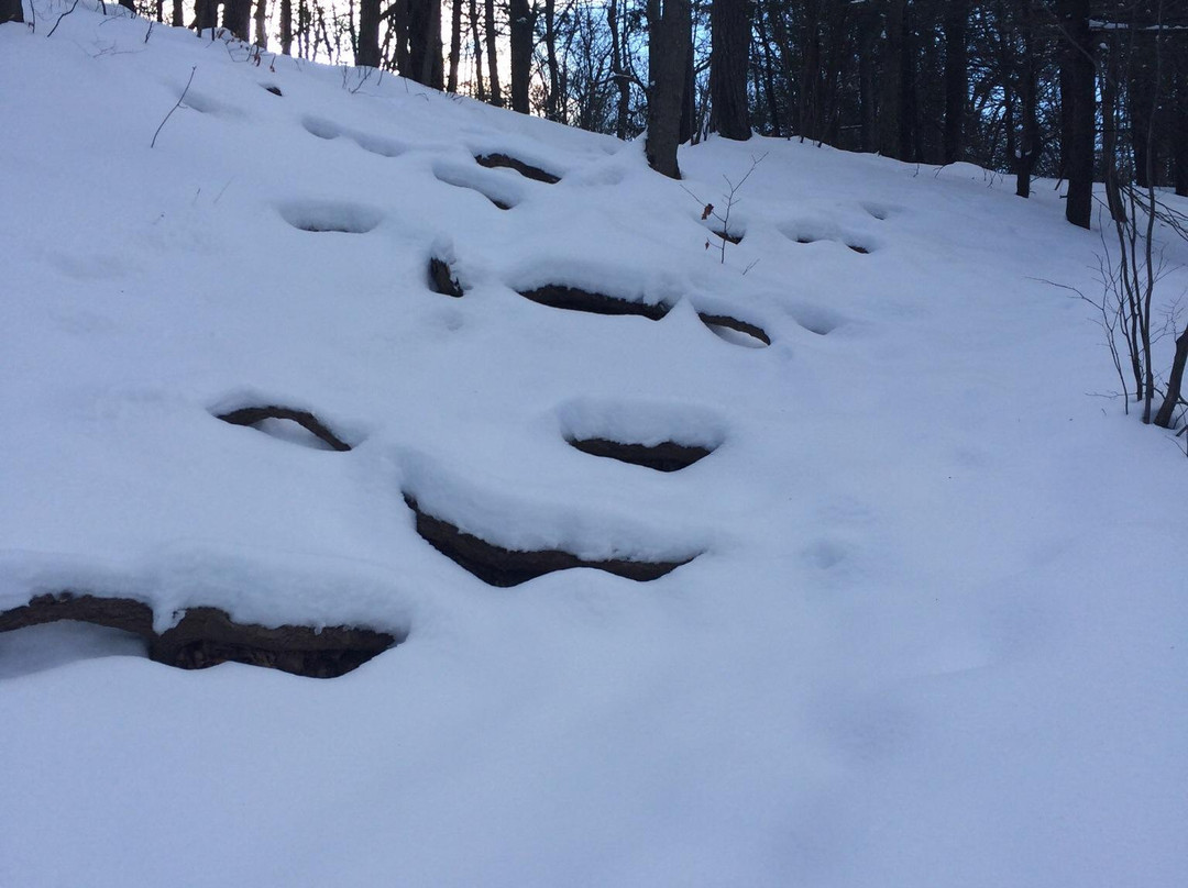 Metacomet-Monadnock Trail-艾姆赫斯特必去景点