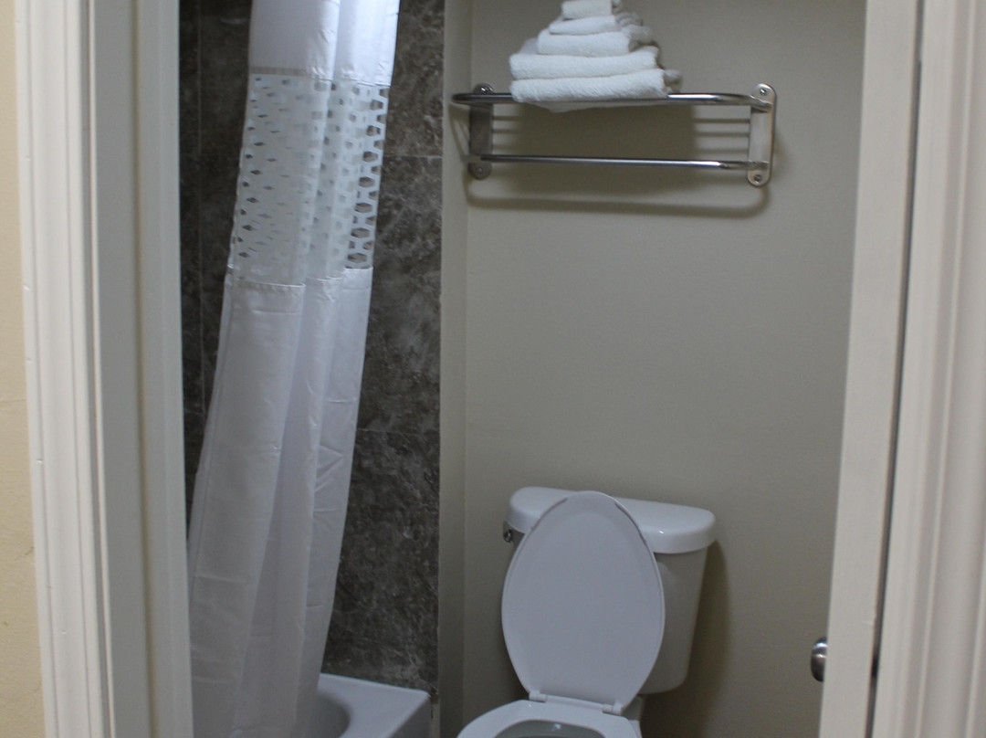 American Inn & Suites主图