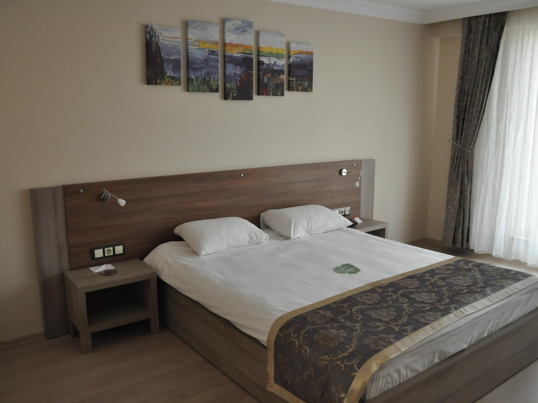 Work & Home Hotel Suites主图