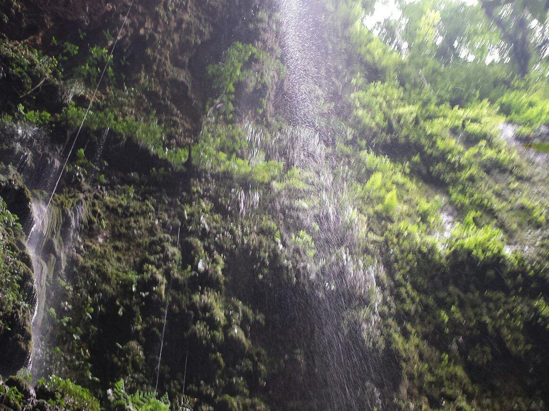 Clara Cave (Cueva Clara)景点图片