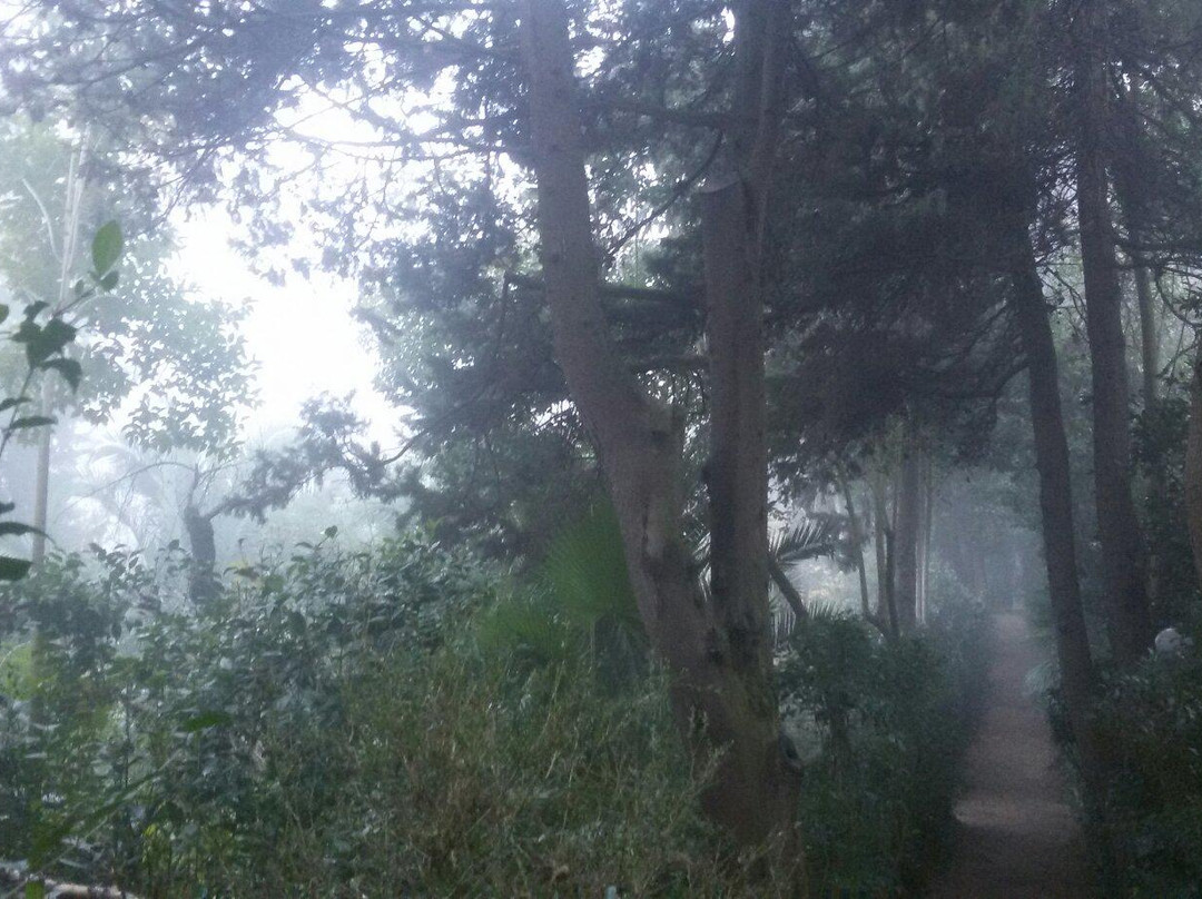 Parco Giardino dei Ligustri - Giardino Pittoresco-Loreto Aprutino必去景点