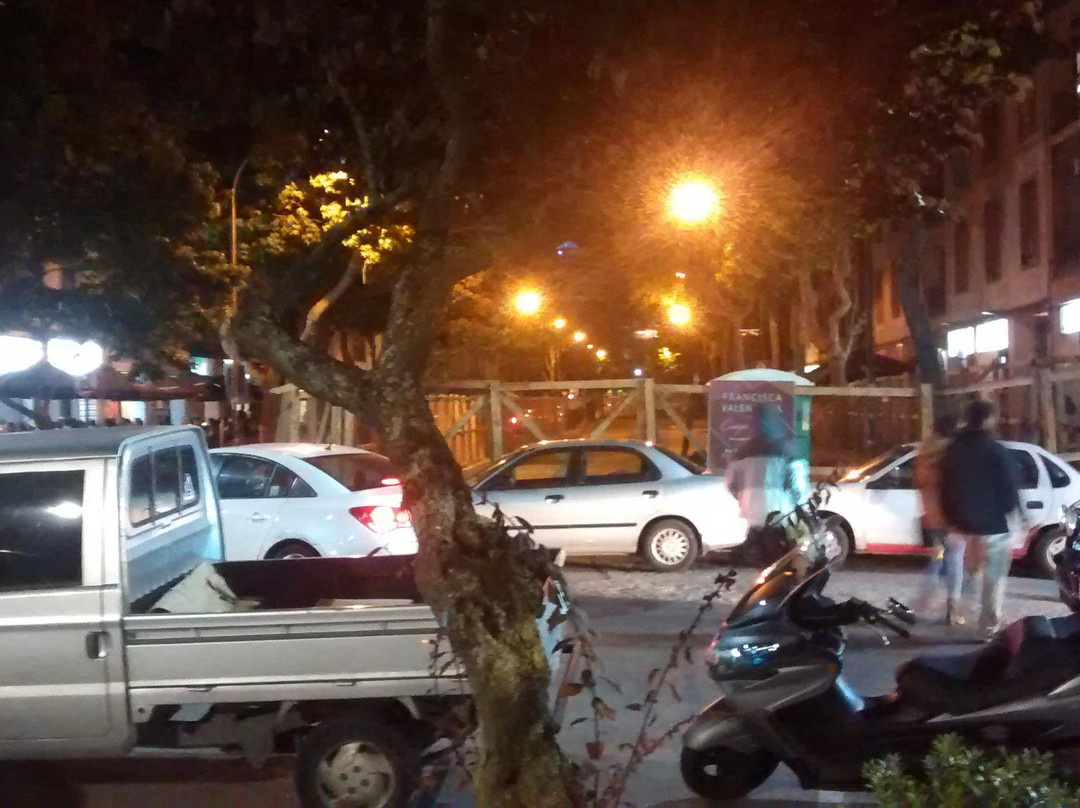 Plaza Peru-康塞普西翁必去景点