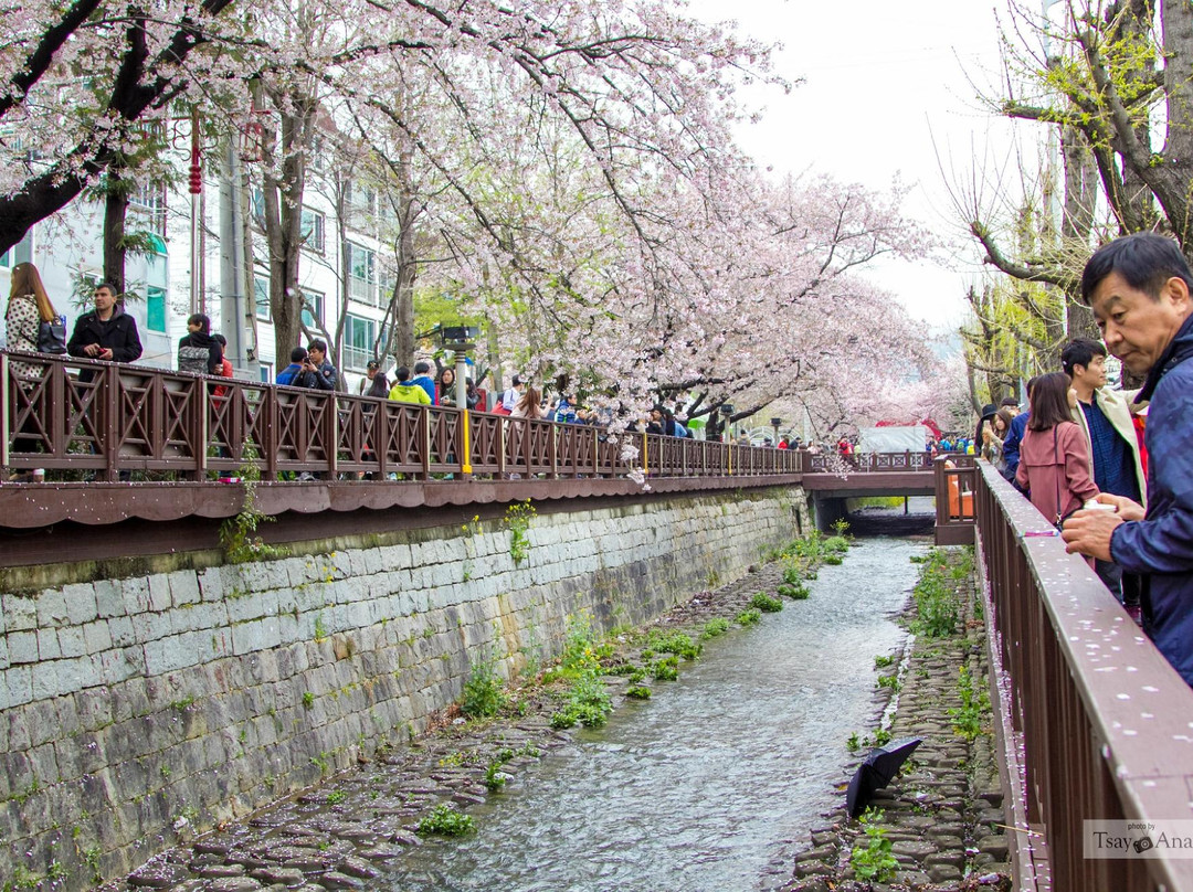 Jinhae NFRDI Environment Eco-park-昌原市必去景点