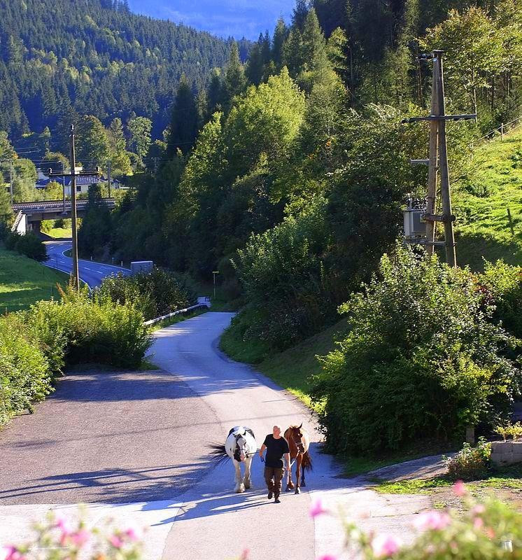 Wildbad Einod旅游攻略图片
