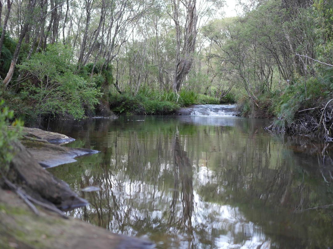 Highlands Adventure Co-Bundanoon必去景点