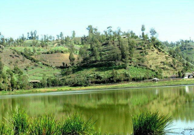 Lake Ranu Pane-Lumajang必去景点