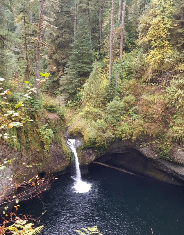 Lower Punchbowl Falls-Cascade Locks必去景点