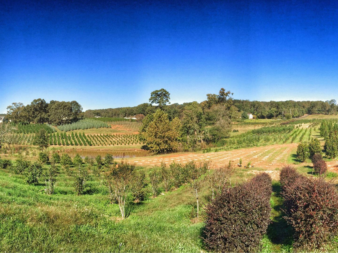 Kinsey Family Farm-盖恩斯维尔必去景点