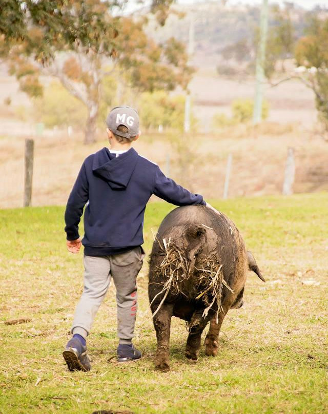 Paddock to Potager-图沃柏必去景点