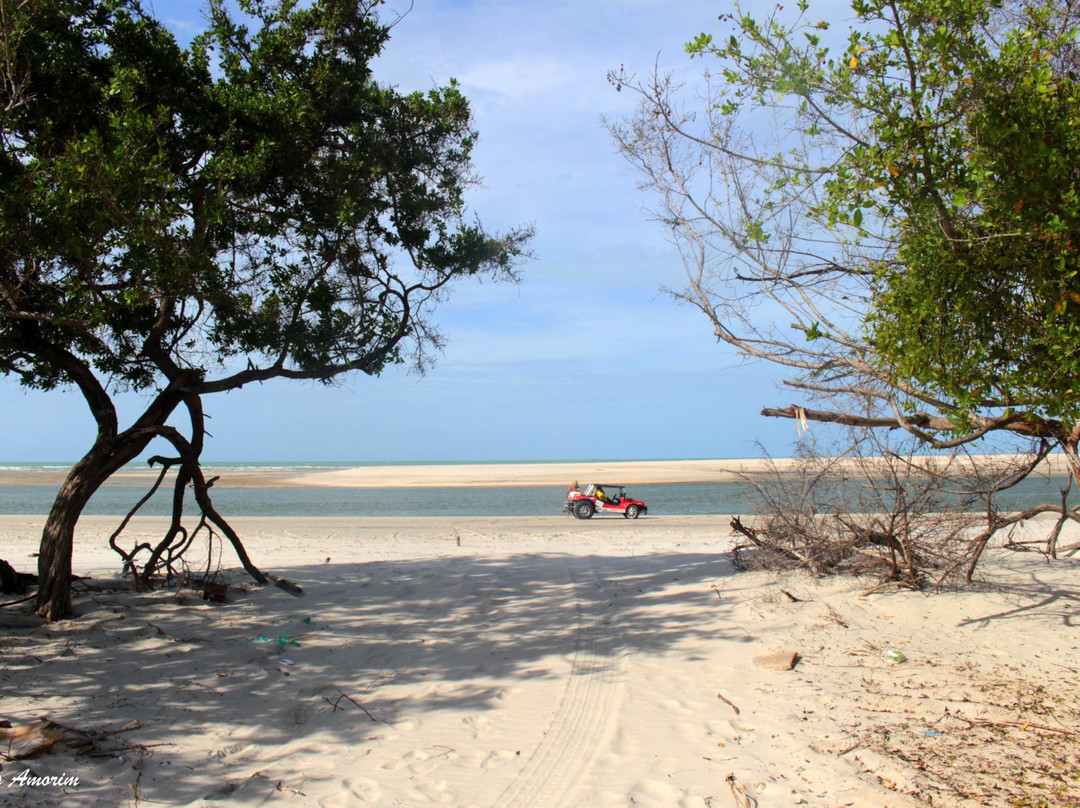 Barrinha Beach景点图片