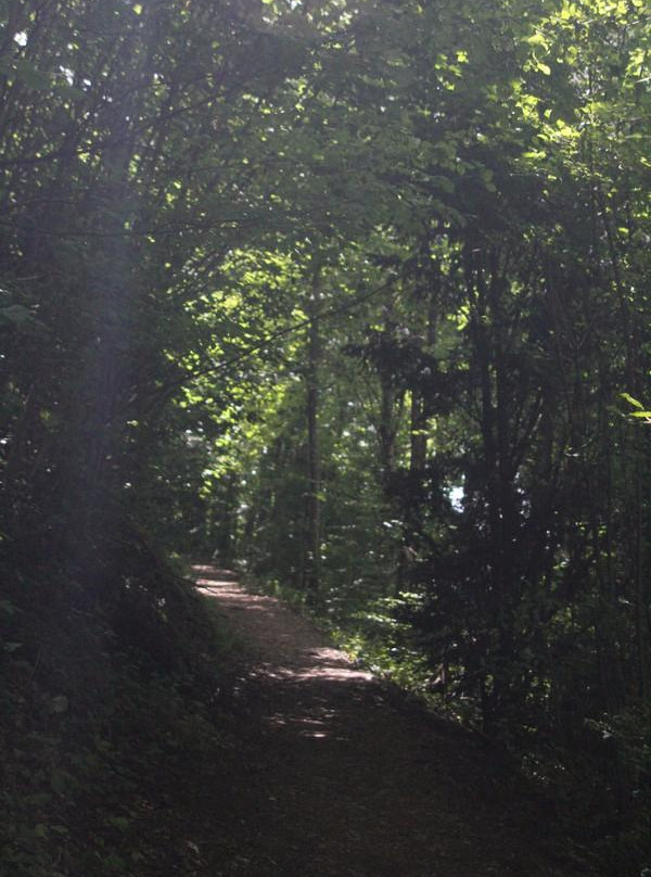 Burgruine Werrach-Wehr必去景点