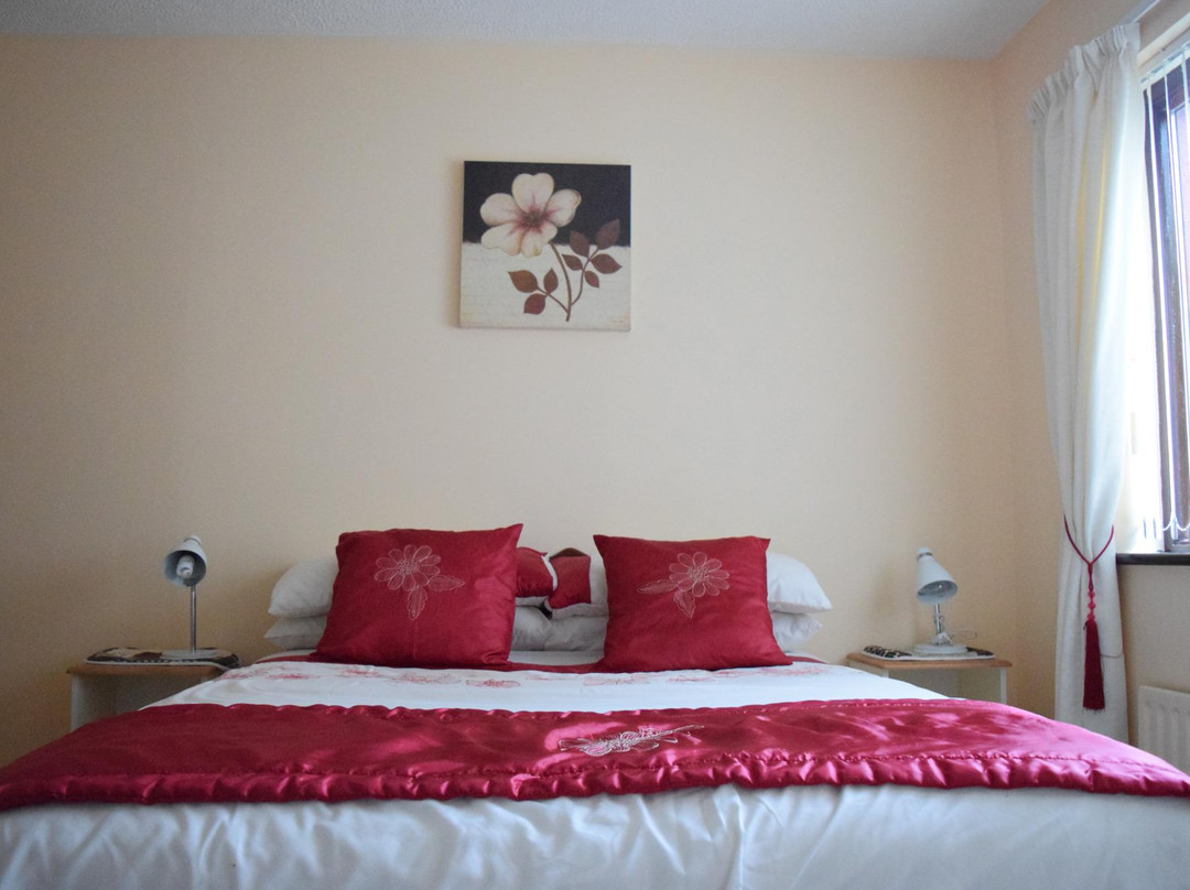 香农酒店住宿-Hillside Bed and Breakfast Shannon