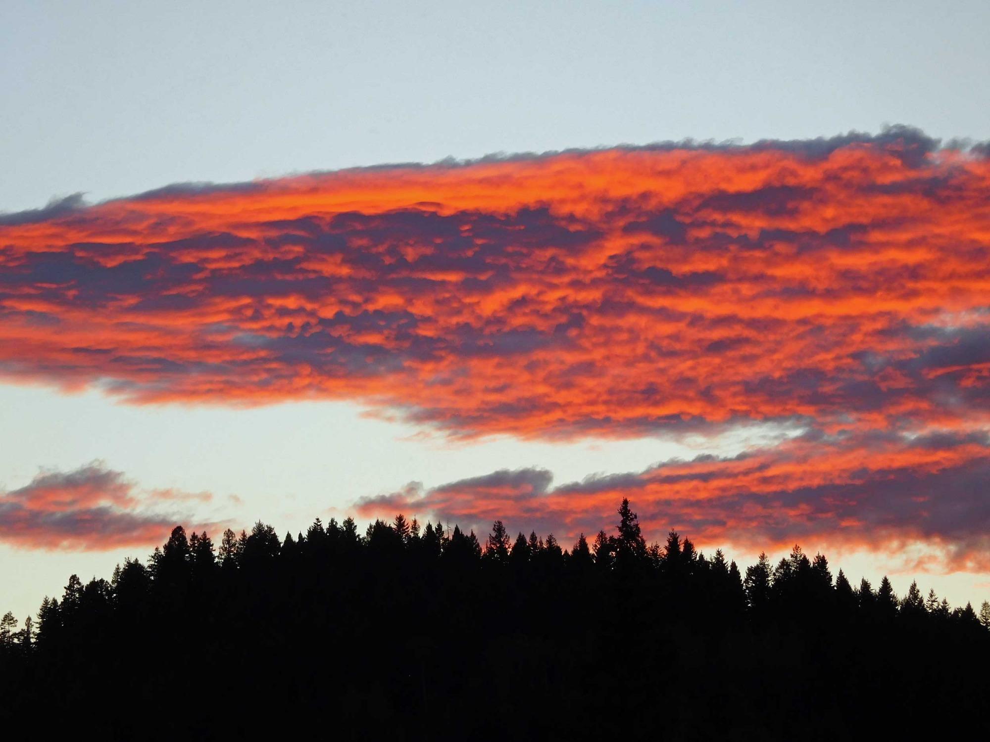 Golden Pond B&B-客卧