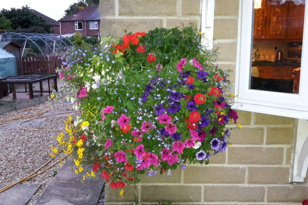 Glapwell Nurseries