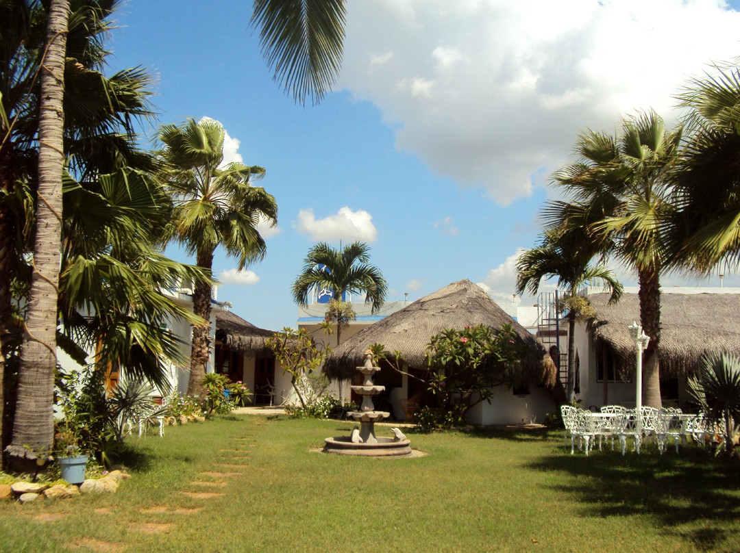 Animas Bajas酒店住宿-El Delfin Blanco