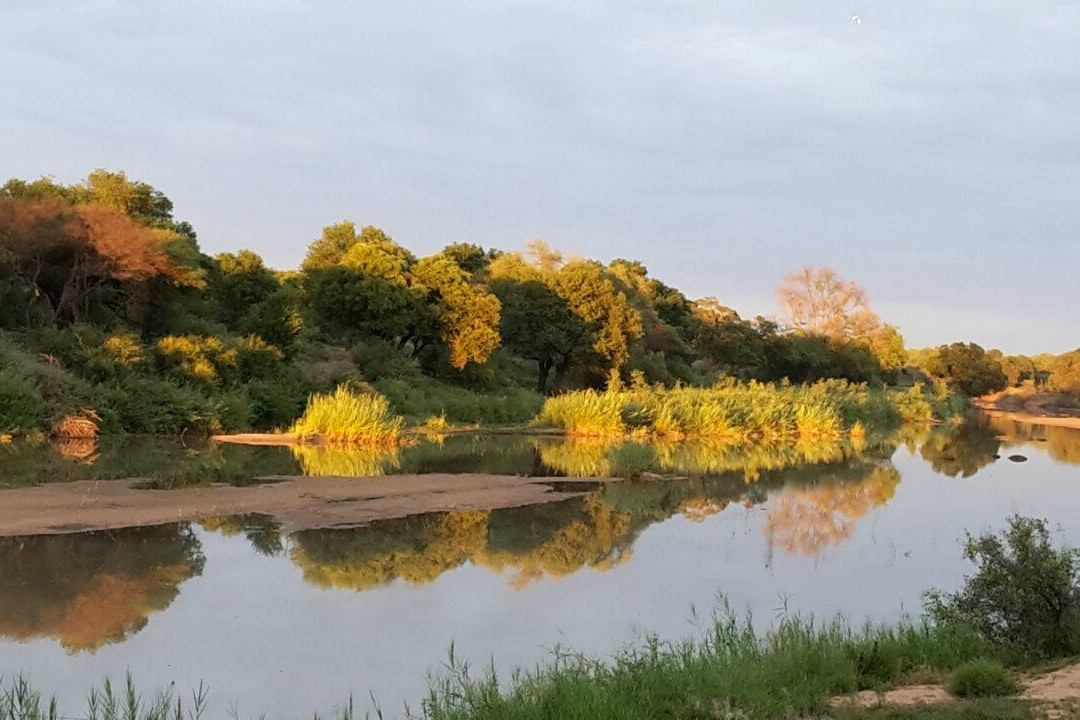 Limpopo River Lodge