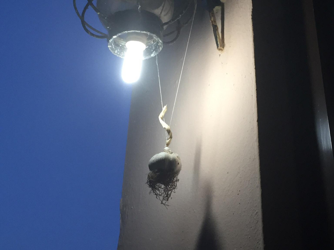 Paradise Hotel主图