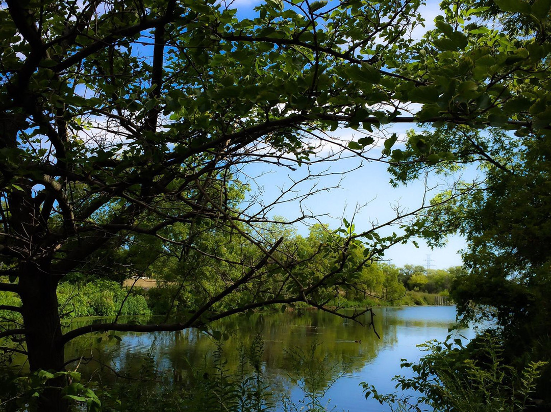 Urquhart Butterfly Garden-邓达斯必去景点
