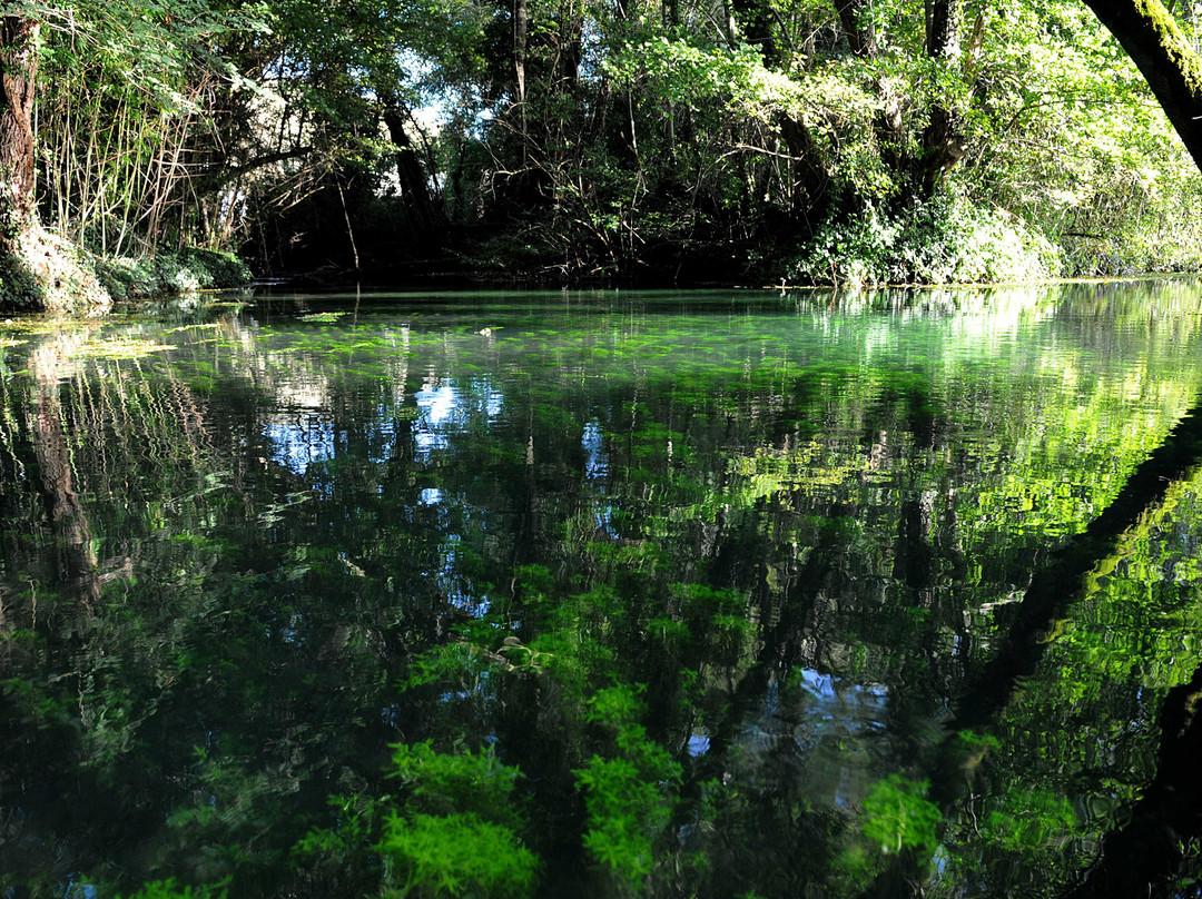 La Riviere de Chauvignac-Chenac-Saint-Seurin-d'Uzet必去景点