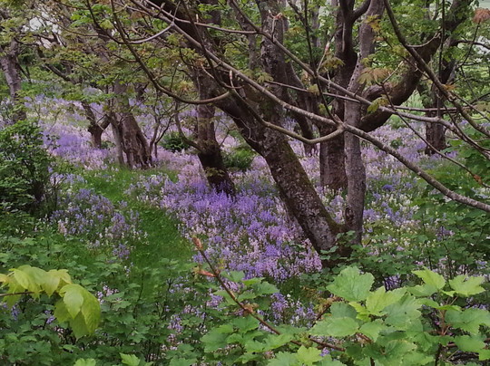 Sandavagur Church-Sandavagur必去景点