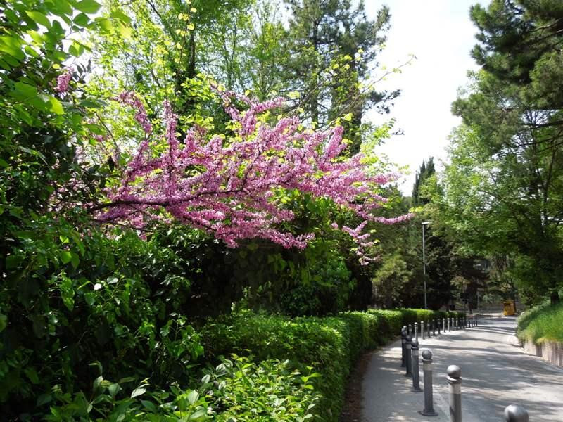 Giardini Diaz-马切拉塔必去景点