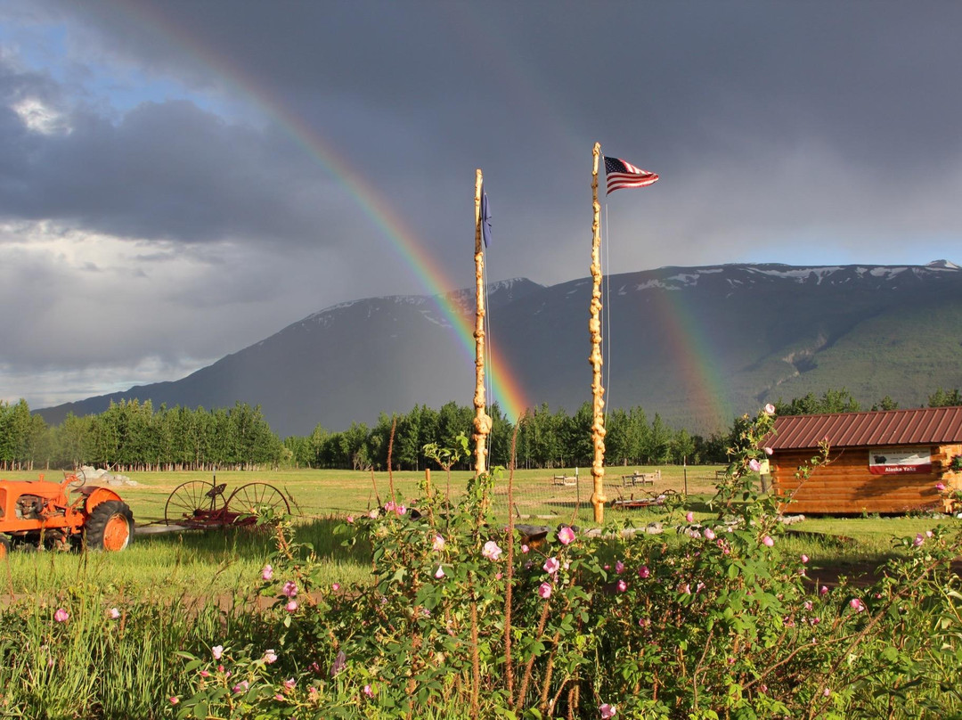 Alaska Yaks-Copper Center必去景点