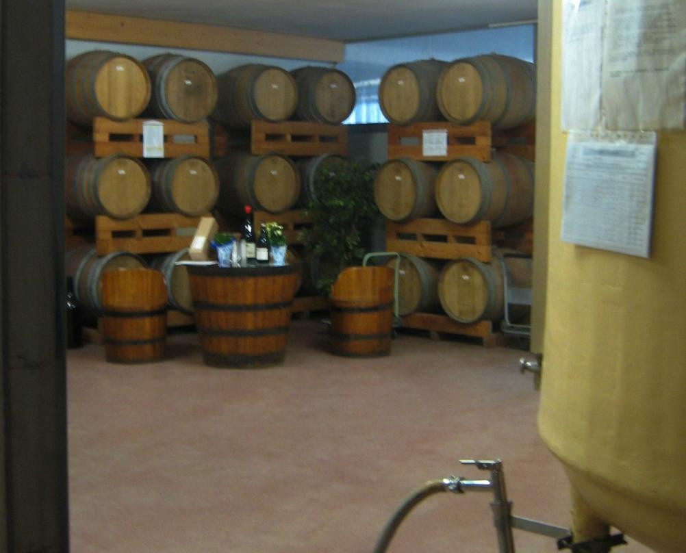 Settecolli Cantina Cooperativa Viticoltori景点图片
