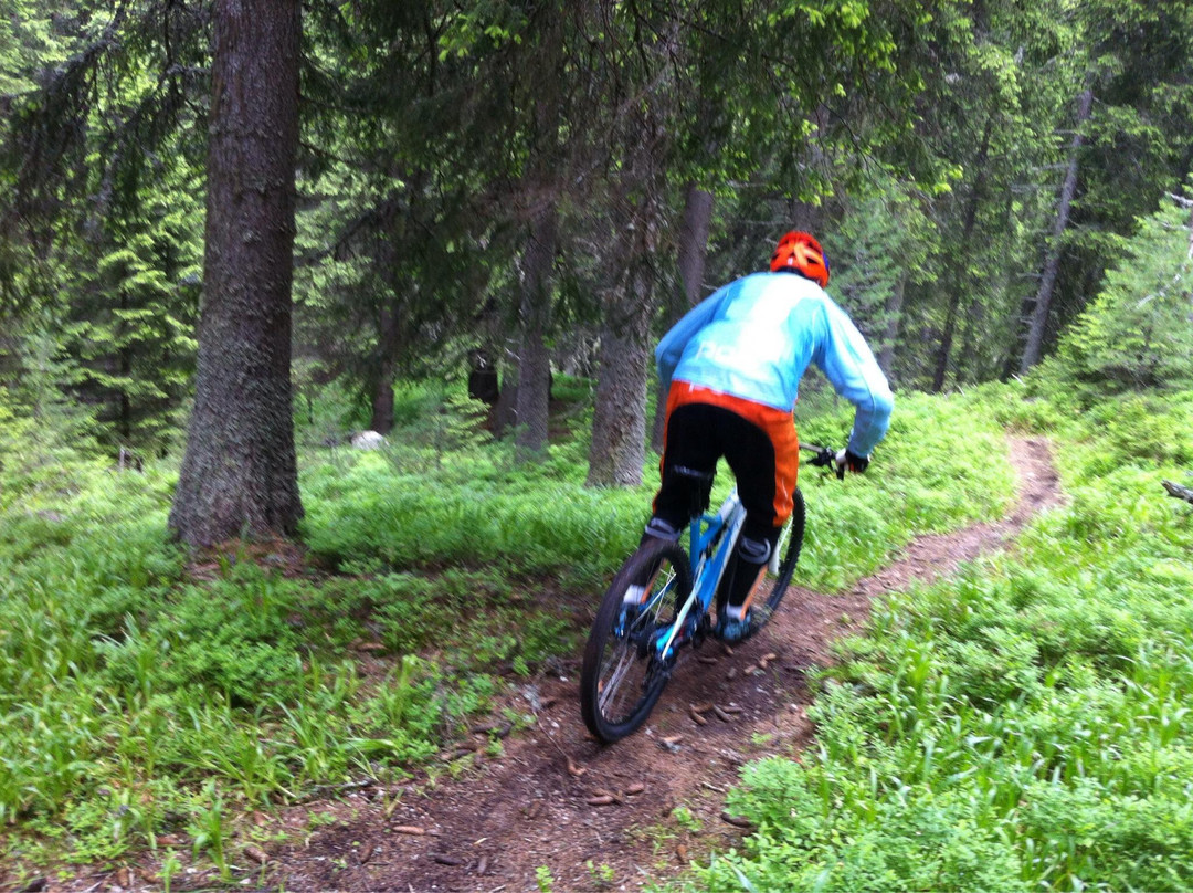 Mountain Masters Borovets - Day Tours-波罗维兹必去景点