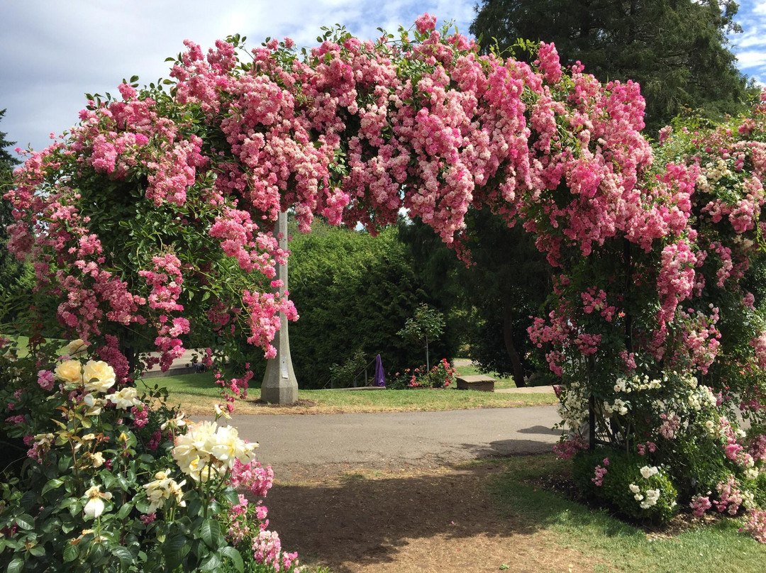 国际玫瑰试验园-波特兰必去景点