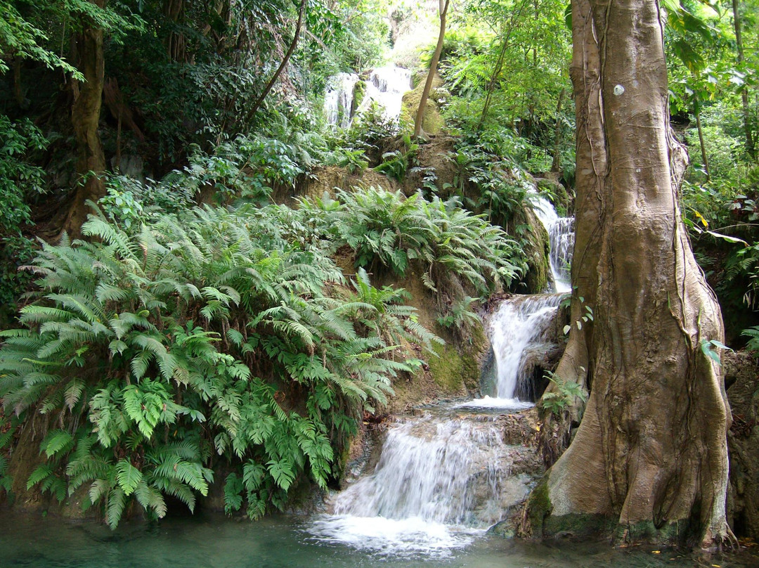 Laiwangi Wanggameti National Park景点图片