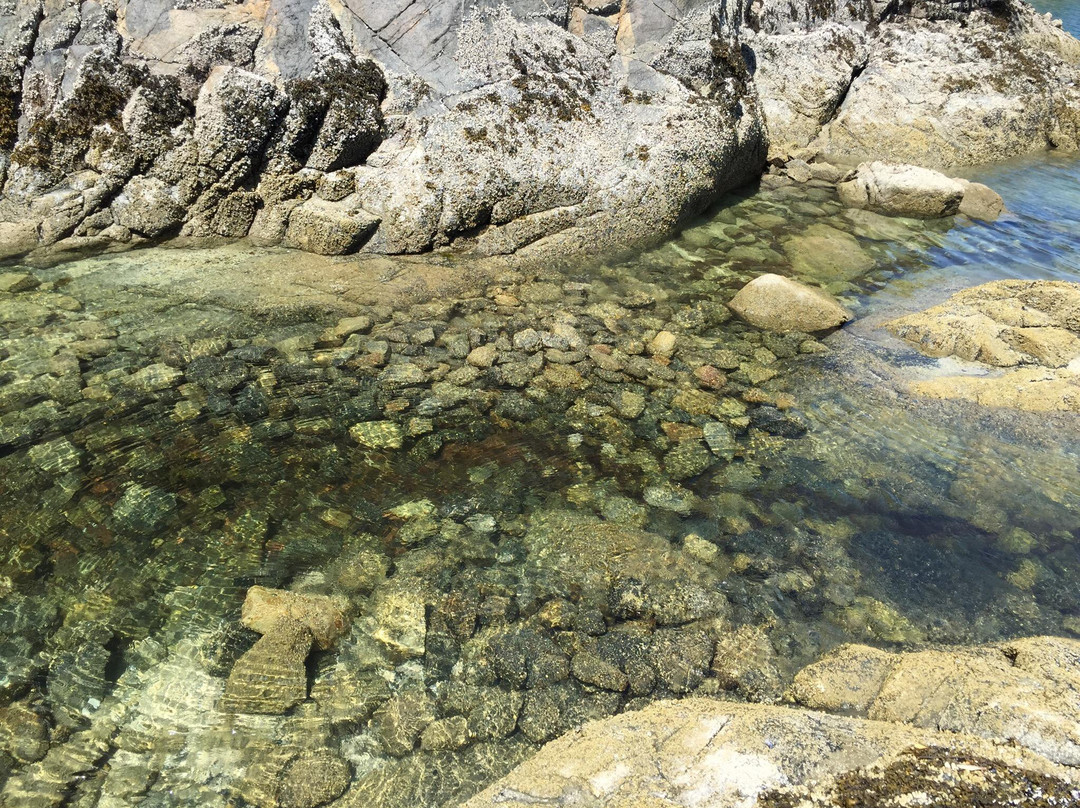 Smuggler Cove Marine Provincial Park-Halfmoon Bay必去景点