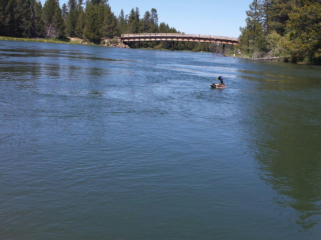 Sunriver Marina-太阳河必去景点