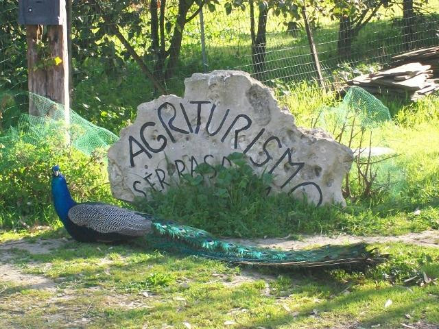 Siamaggiore餐馆和美食-Agriturismo Serras d'Ala