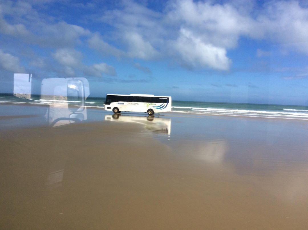 Cape Reinga Adventures Day Tours景点图片