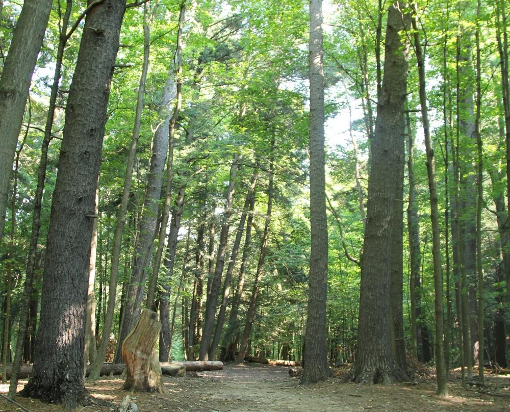 Boyd Conservation Area景点图片