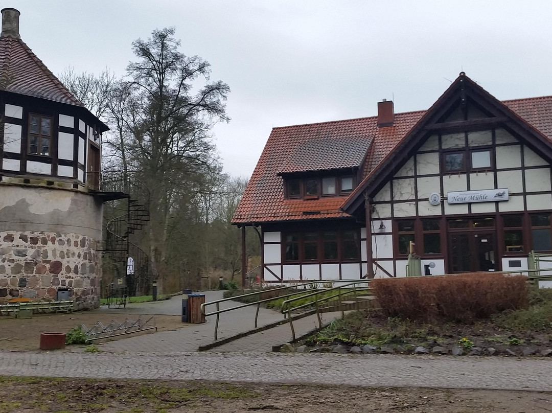Neue Muhle