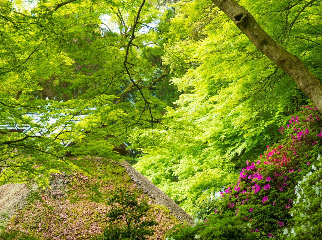 Daikozenji Temple景点图片
