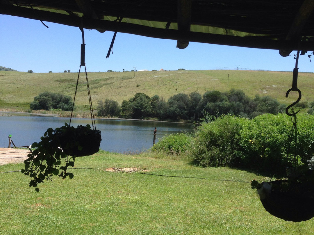 Shiriba Lodge