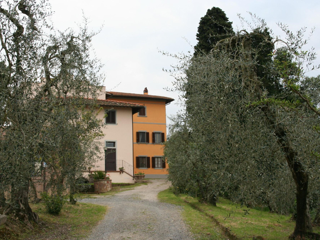 Fattoria Casanova